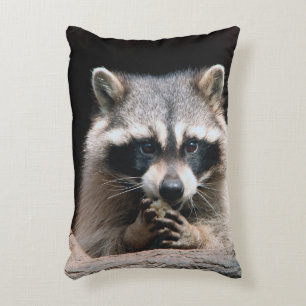 Raccoon 004 accent pillow