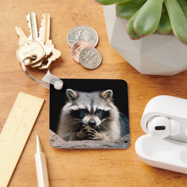 Raccoon 004 keychain (Desk)