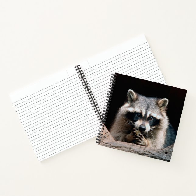 Raccoon 004 notebook (Inside)