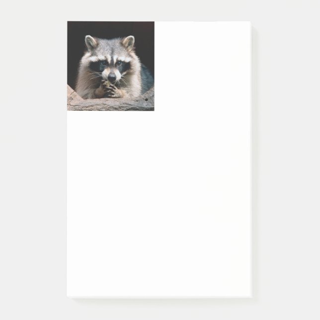 Raccoon 004 post-it notes (Front)