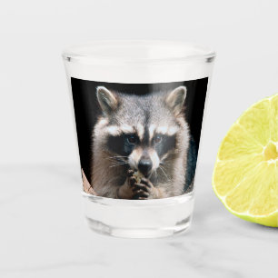 Raccoon 004 shot glass