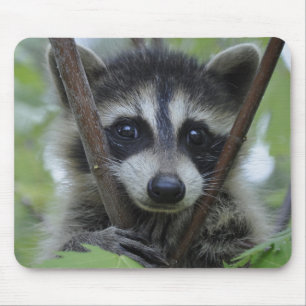 Raccoon - #1005 mouse pad