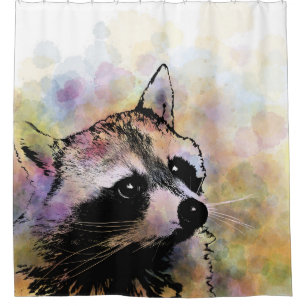 raccoon 23