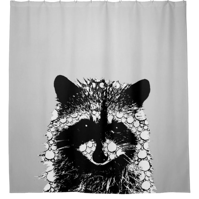 Raccoon 26 (Front)