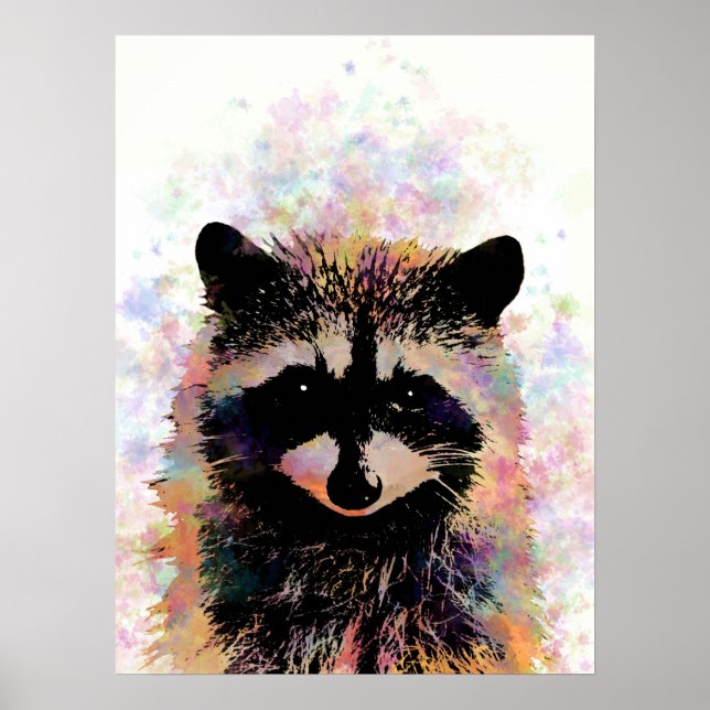 Raccoon 27 poster (Front)