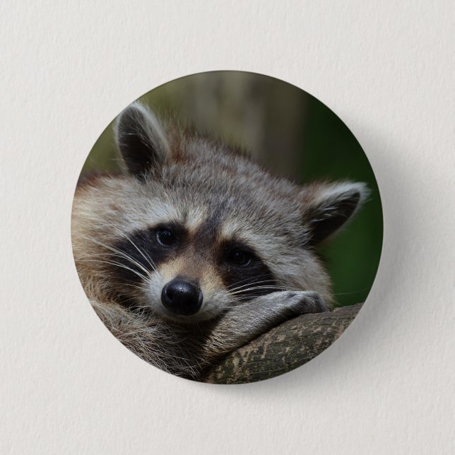 Raccoon 2 Inch Round Button (Front)