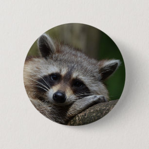 Raccoon 2 Inch Round Button