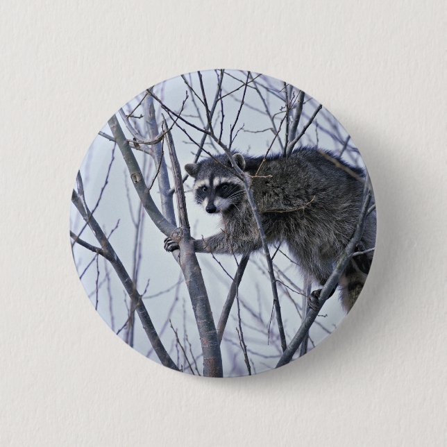 Raccoon 2 Inch Round Button (Front)