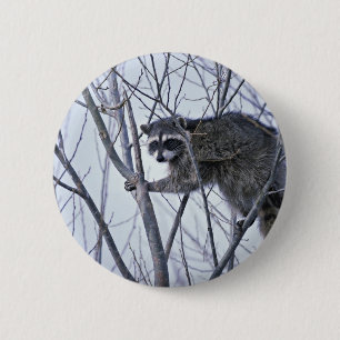 Raccoon 2 Inch Round Button