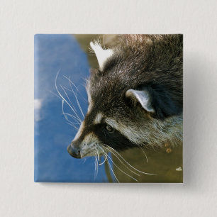 Raccoon 2 Inch Square Button