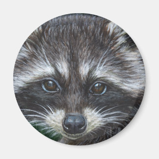 Raccoon #3 magnet