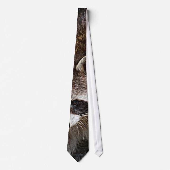 raccoon 415P Tie (Front)