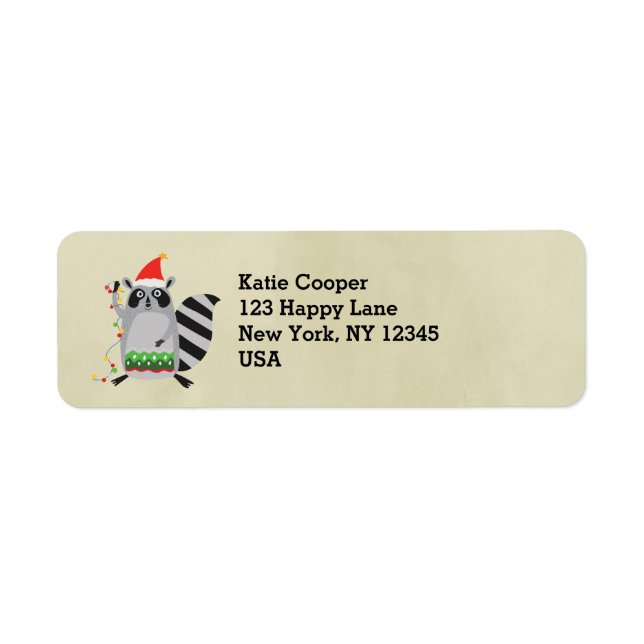 Raccoon À Santa Hat Tangé Dans Les Lumières De Vac (Devant)