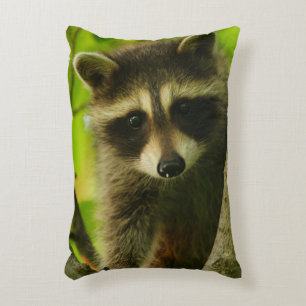 raccoon accent pillow