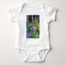 Raccoon among the flowers