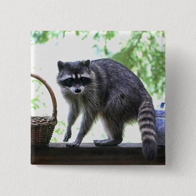 Raccoon and Cookie Jar 2 Inch Square Button (Front)