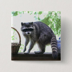 Raccoon and Cookie Jar 2 Inch Square Button