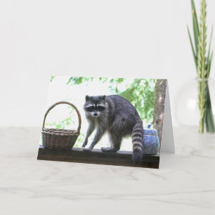 Raccoon and Cookie Jar Card