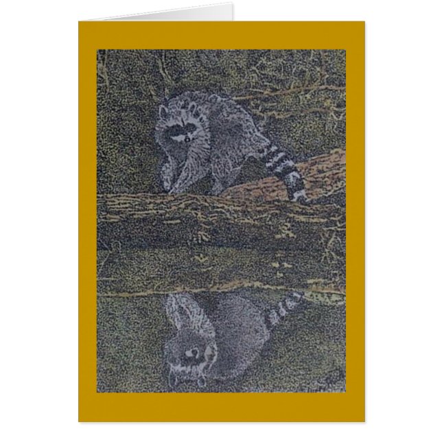 raccoon and reflection (Front)