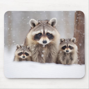 Raccoon Animal Family Wandering Nature  Mouse Pad