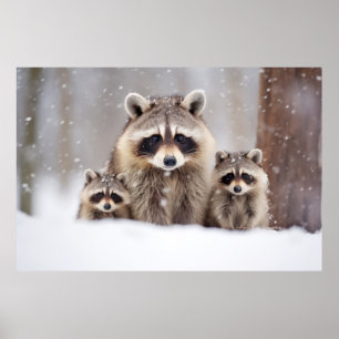 Raccoon Animal Family Wandering Nature  Poster