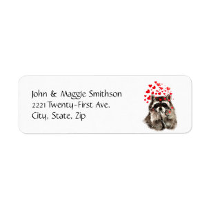 Raccoon Animal Hugs and Kisses de Funny Raccoon