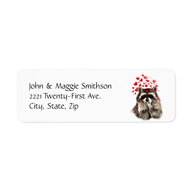 Raccoon Animal Hugs and Kisses de Funny Raccoon (Devant)
