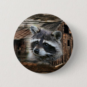 Raccoon At The Old Barn 2 Inch Round Button