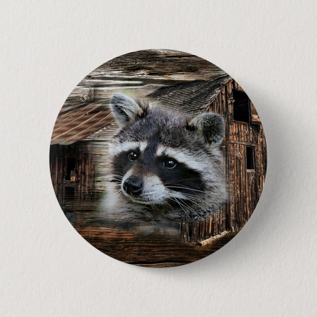 Raccoon At The Old Barn 2 Inch Round Button (Front)