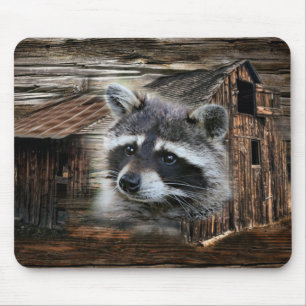 Raccoon At The Old Barn Mouse Pad