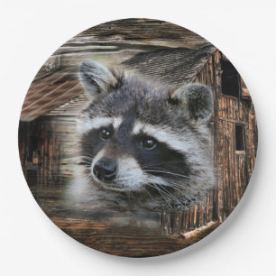 Raccoon At The Old Barn Paper Plate
