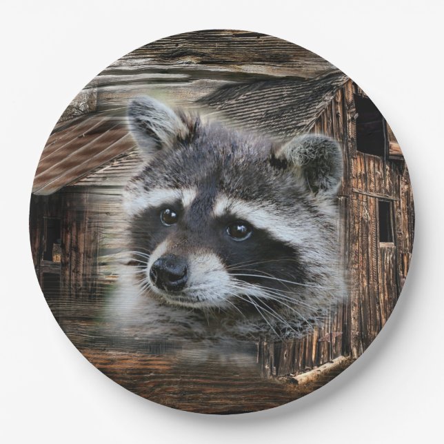 Raccoon At The Old Barn Paper Plate (Front)