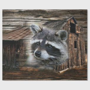 Raccoon At The Old Barn Wrapping Paper
