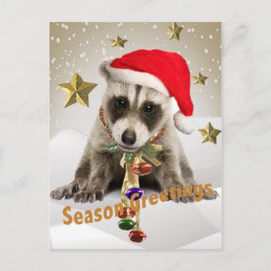 Raccoon baby Season Greetings Postcard