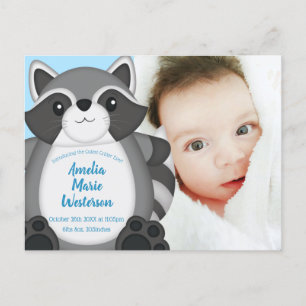 Raccoon Baby Shower Blue Postcard