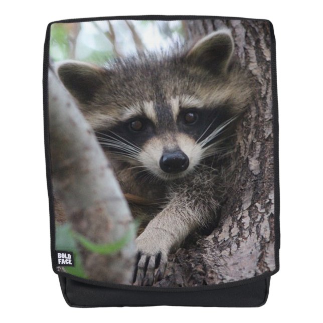 Raccoon Backpack (Front)