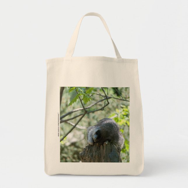 Raccoon Bag (Front)