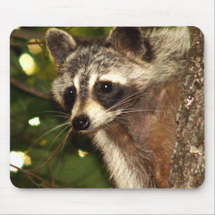 Raccoon "Bandit" Mousepad
