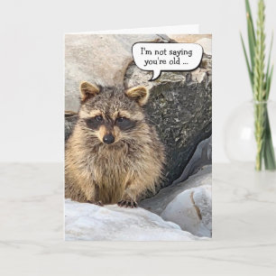 Raccoon Birthday Humor Card