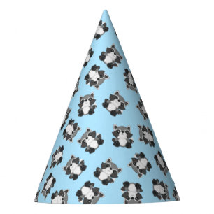 Raccoon Birthday Party Blue Hat