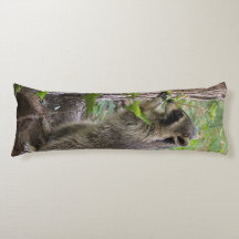 Raccoon body pillow.