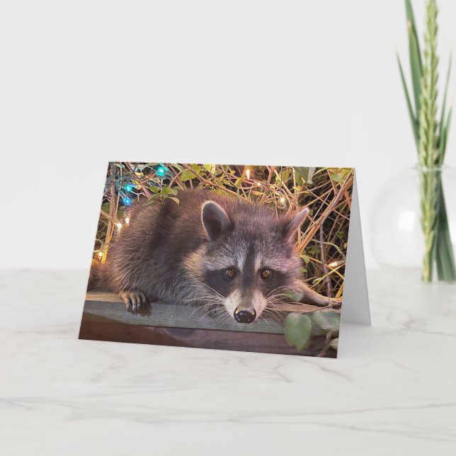 Raccoon Bonne carte d'anniversaire pour tous (Devant)