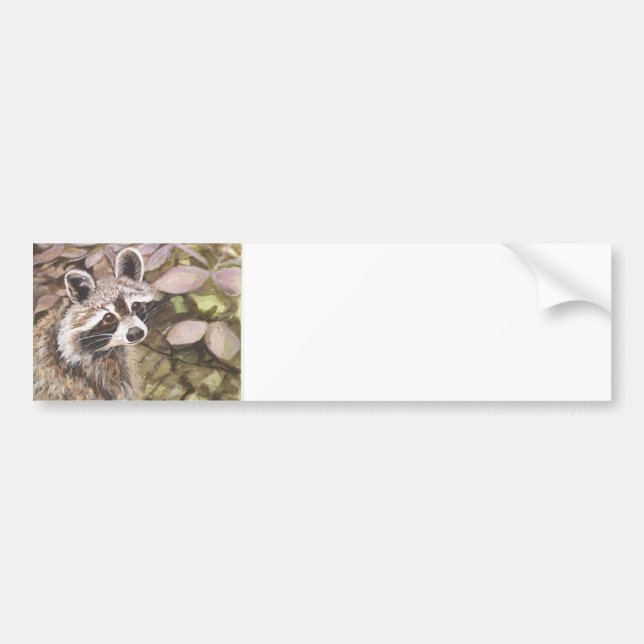 Raccoon Bumper Sticker (Front)