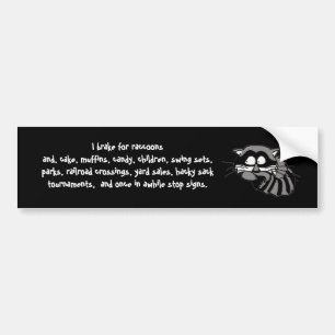 Raccoon Bumper Sticker