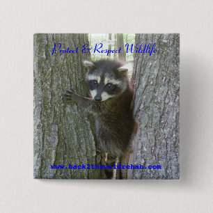 Raccoon Buttoon 2 Inch Square Button
