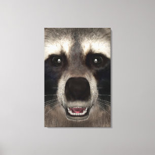 Raccoon Canvas Print