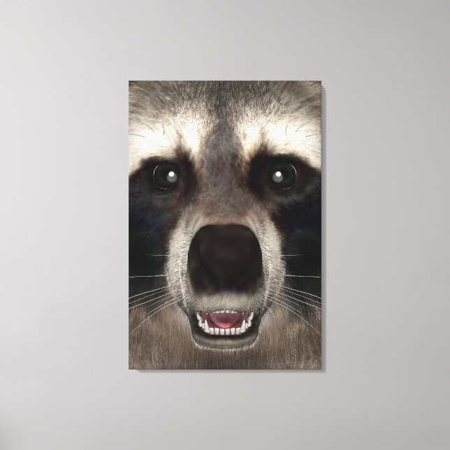 Raccoon Canvas Print (Front)
