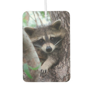 Raccoon Car Air Freshener