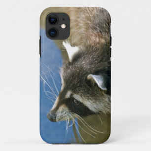 Raccoon iPhone 11 Case