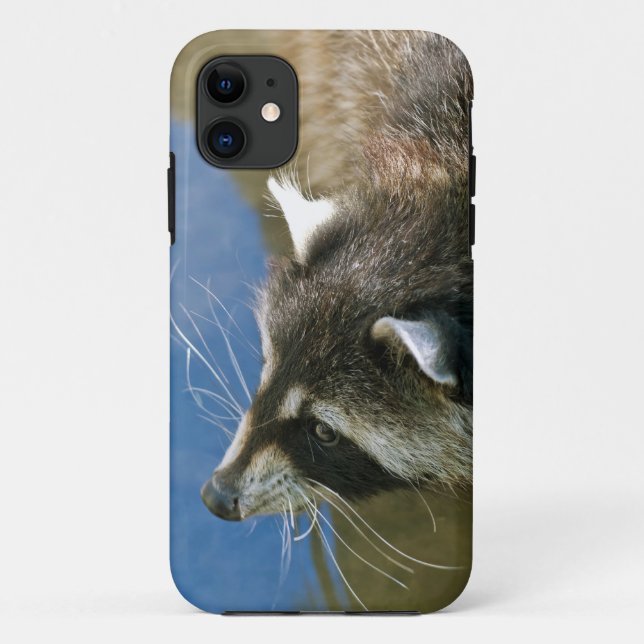 Raccoon Case-Mate iPhone Case (Back)
